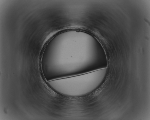 X0000097651412200802290835