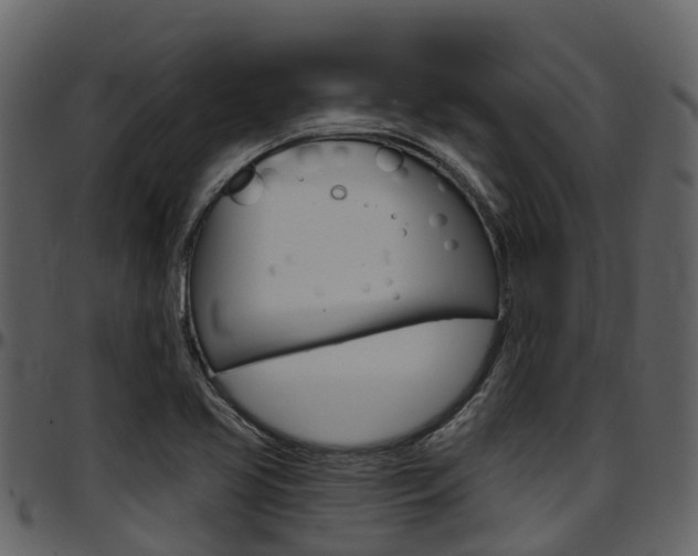 X0000097651413200802290835