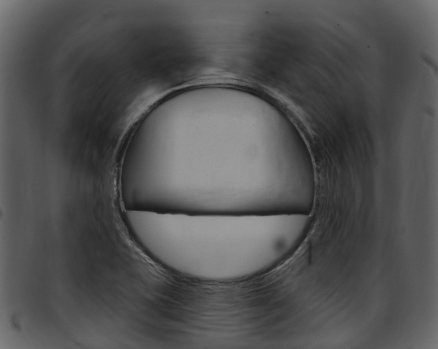 X0000097651415200802290835