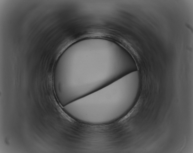 X0000097651417200802290835