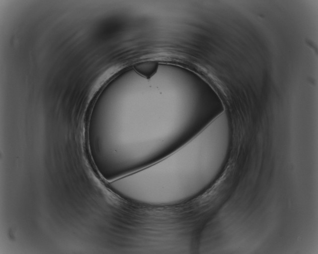 X0000097651418200802290835