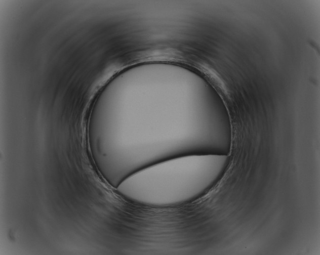 X0000097651419200802290835