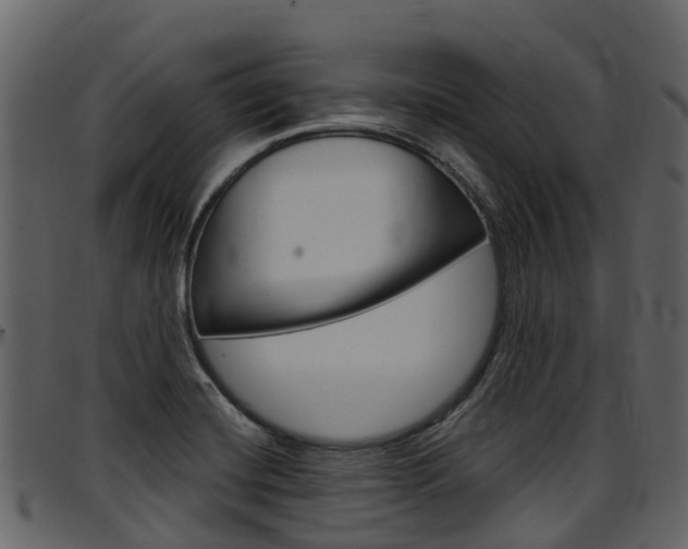 X0000097651420200802290835