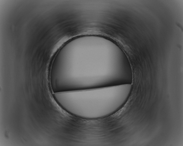 X0000097651422200802290836