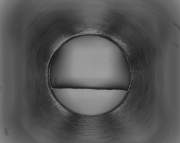 X0000097651423200802290836