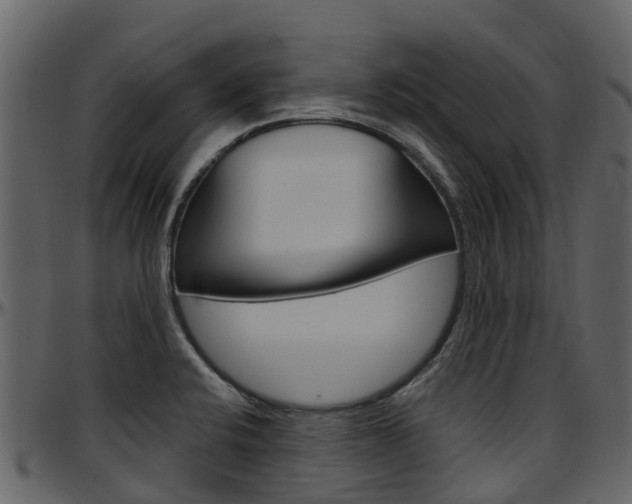 X0000097651424200802290836