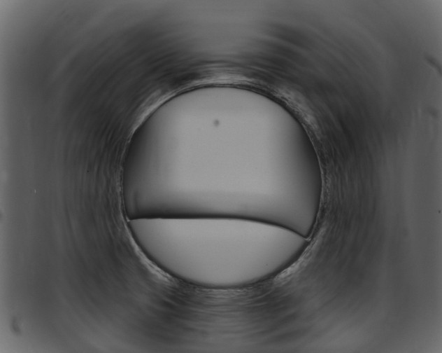 X0000097651425200802290836