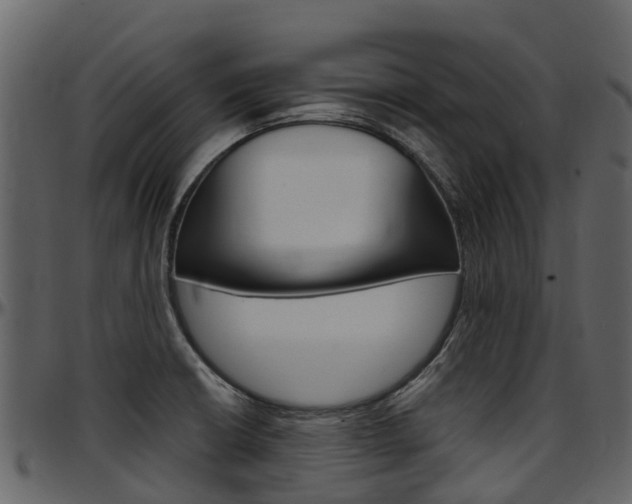 X0000097651426200802290836