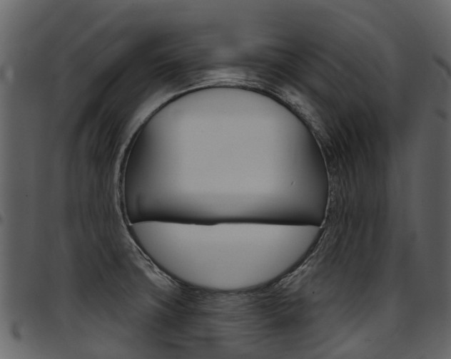 X0000097651427200802290836