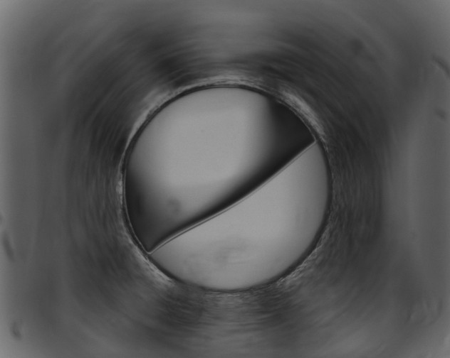 X0000097651428200802290836