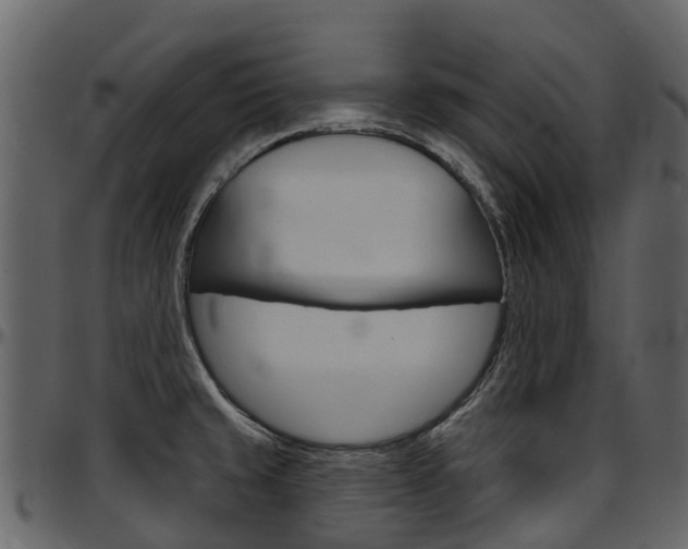 X0000097651429200802290836