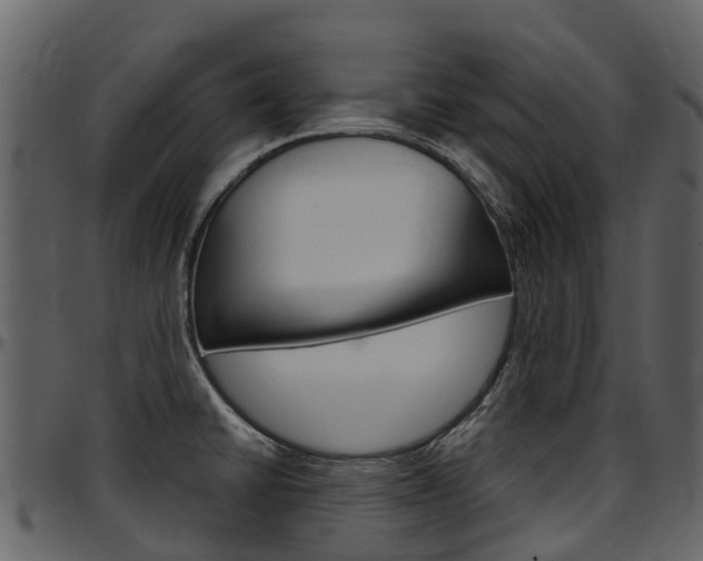 X0000097651430200802290836