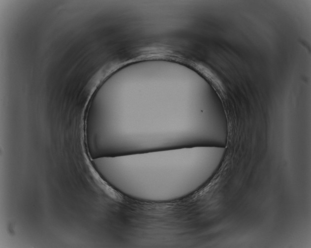 X0000097651431200802290836