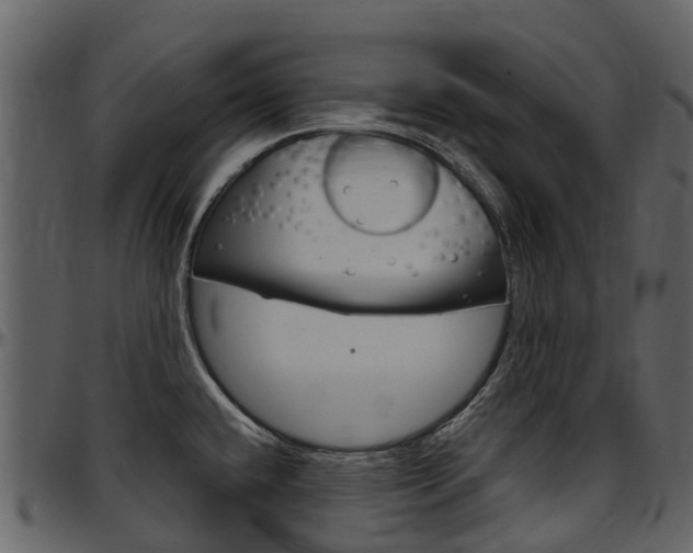 X0000097651432200802290836