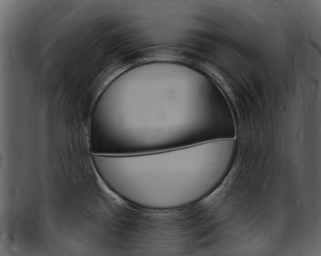 X0000097651433200802290836