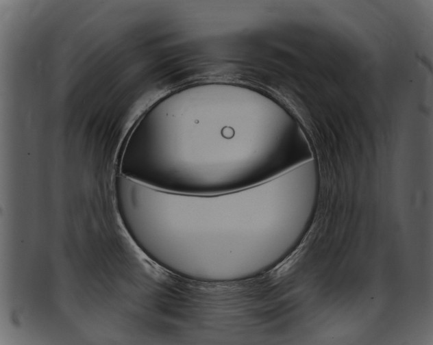 X0000097651434200802290836