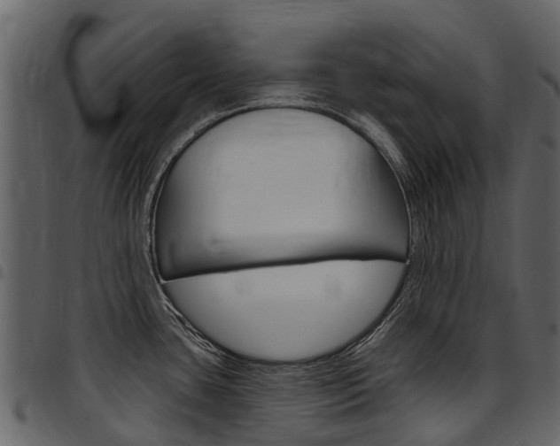 X0000097651435200802290836