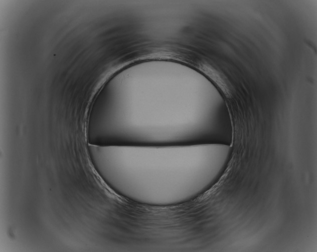 X0000097651436200802290836