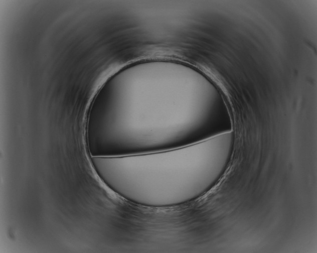 X0000097651437200802290836