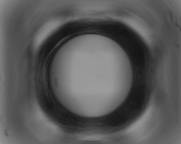 X0000097651438200802290836