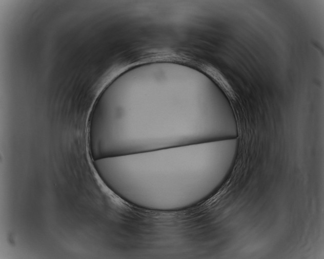 X0000097651439200802290836
