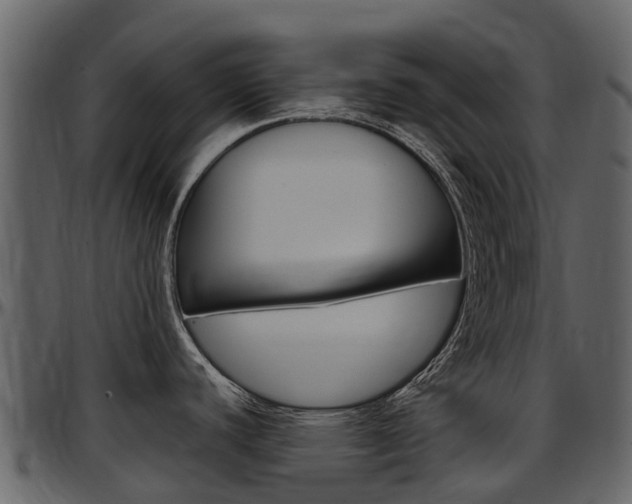 X0000097651440200802290836
