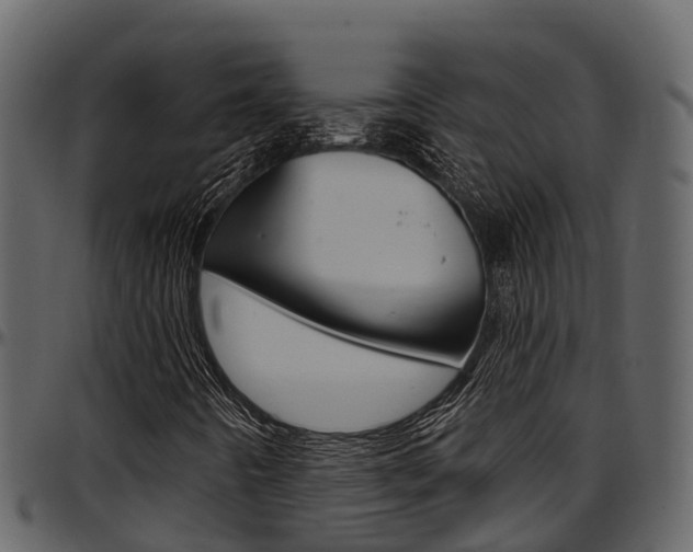 X0000097651442200802290835