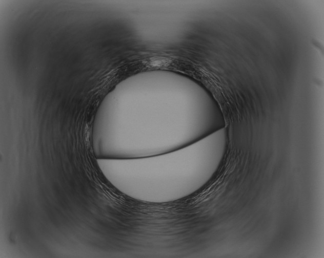 X0000097651443200802290835
