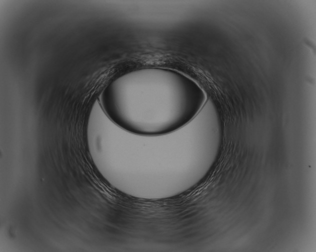 X0000097651444200802290835