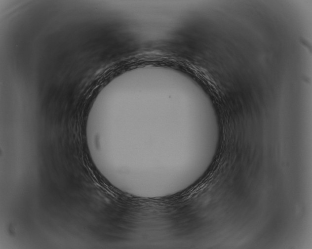 X0000097651445200802290835