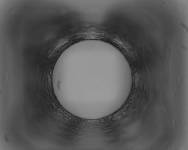 X0000097651446200802290835