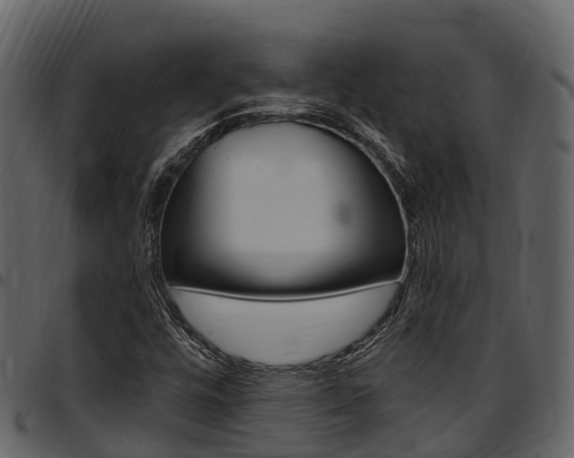 X0000097651448200802290835