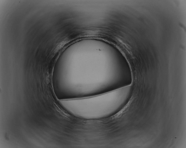 X0000097651449200802290835