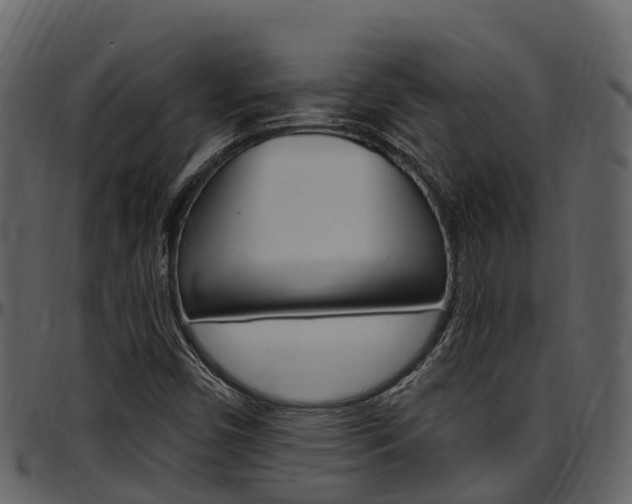 X0000097651450200802290835