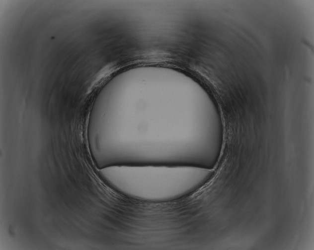 X0000097651451200802290835