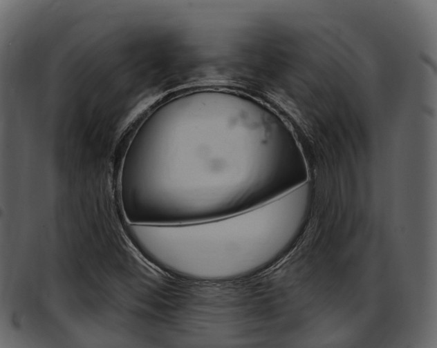 X0000097651452200802290835