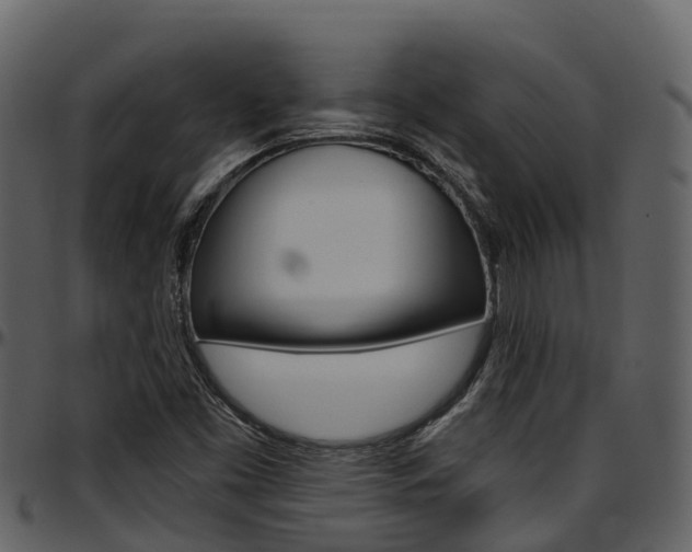 X0000097651453200802290835