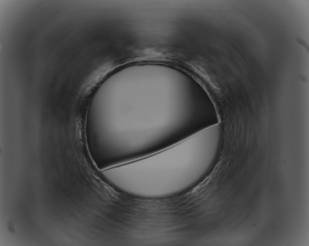 X0000097651455200802290835