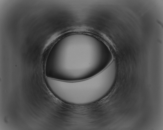 X0000097651456200802290835