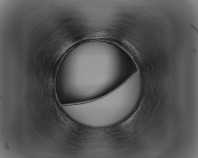 X0000097651457200802290835