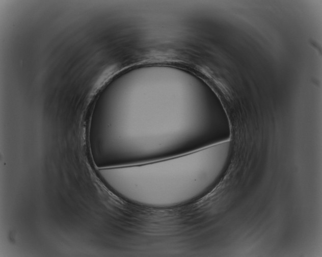 X0000097651459200802290835