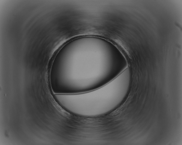 X0000097651460200802290835