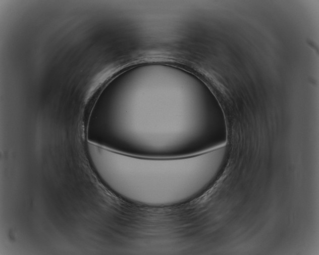 X0000097651461200802290835
