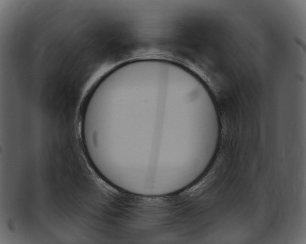 X0000097651462200802290835