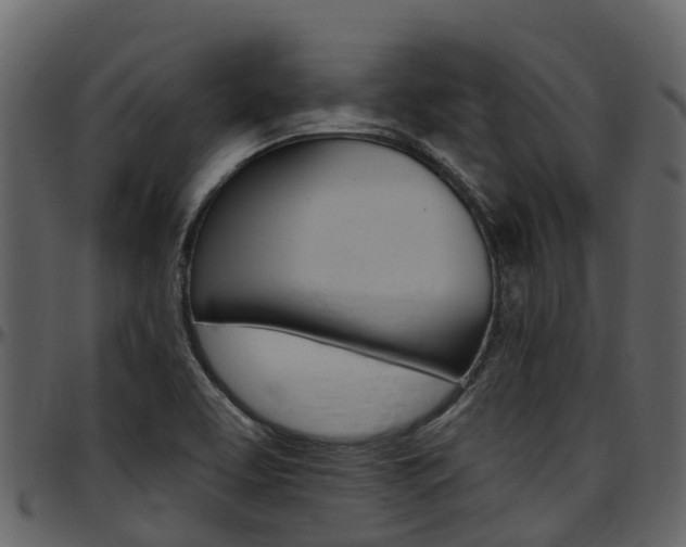 X0000097651463200802290835