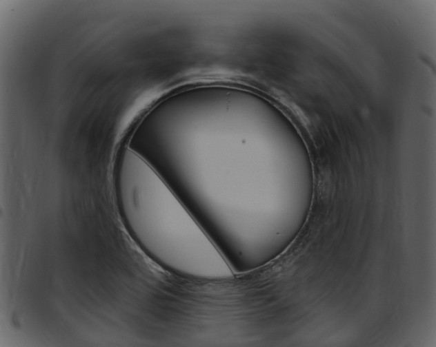 X0000097651464200802290835