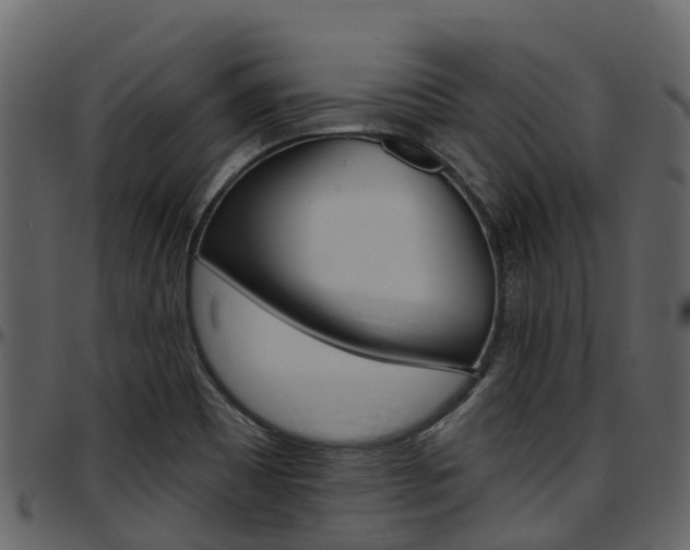 X0000097651465200802290835