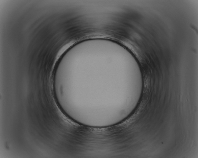 X0000097651466200802290835