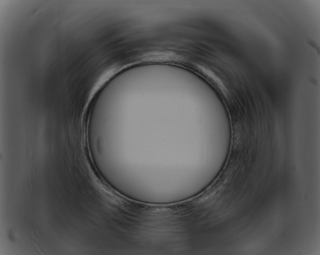 X0000097651467200802290835