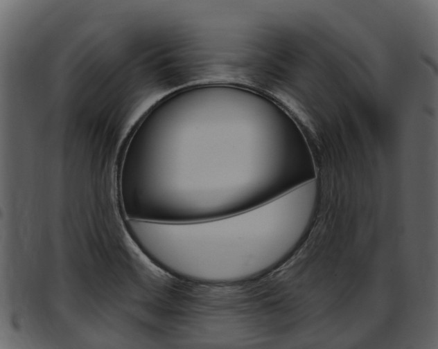 X0000097651468200802290835